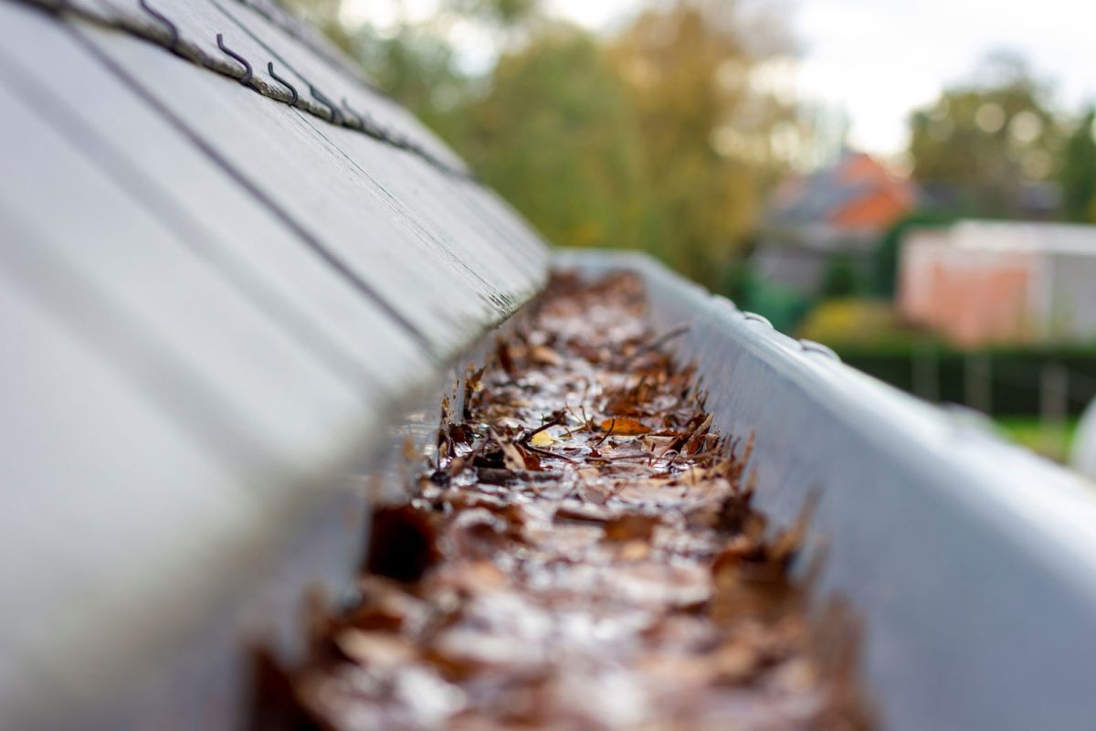 Gutter Repairs & Cleaning - Down The Spout Gutters & Roofing, Hall County GA